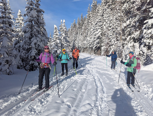 The group in a sunshine place