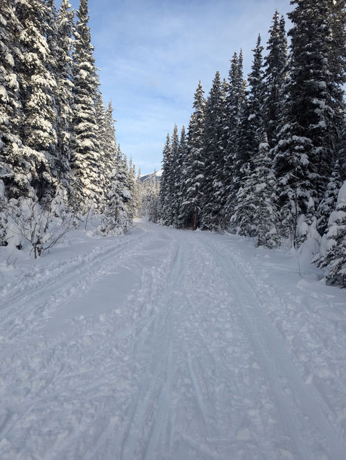 Typical conditions for our ski