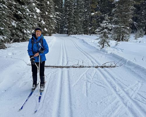 Rather low limbo bar! One of two overnight deadfall that we encountered (and reported)