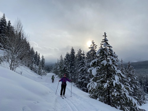 Hoping the cloud might lift