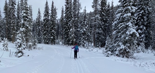 Jane, dutifully obeying the 20 kph speed limit 