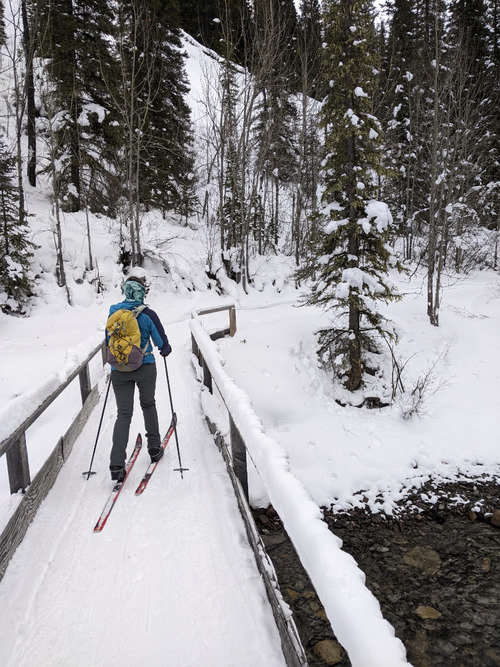 Tana on Brewster Creek trail [Photo Ulrike]