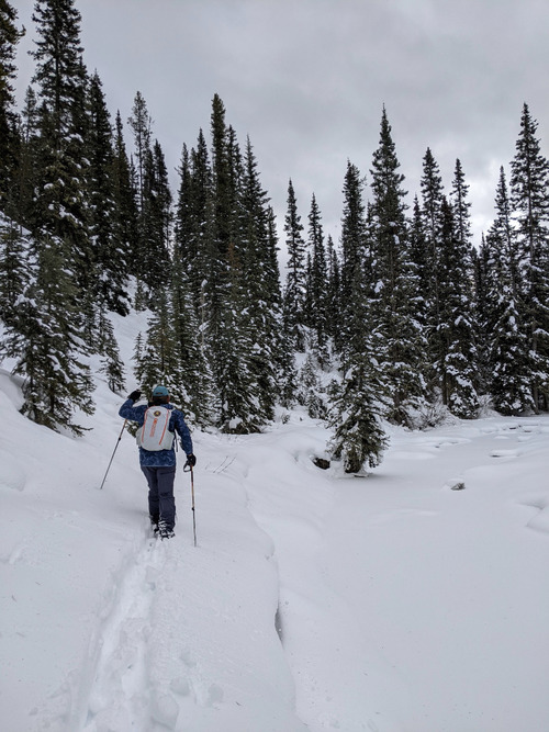 Carl breaking trail just past Sundance Lodge [Photo Ulrike]