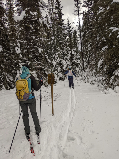Tana and Carl at the Fatigue Pass trail junction just before the Bw10 campground [Photo Ulrike]