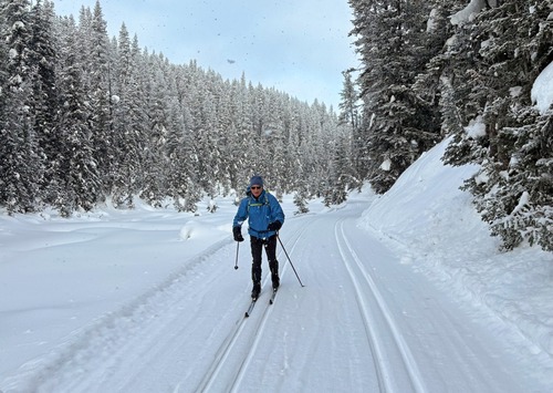 solitude on the Elk Pass Trail