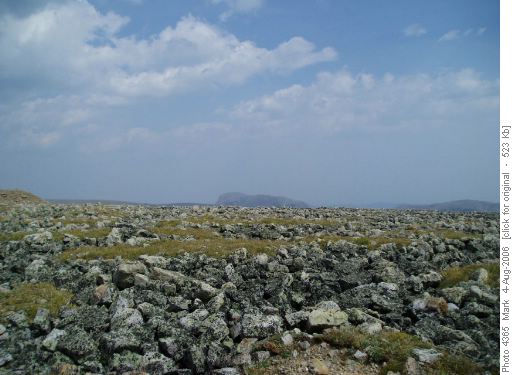 Plateau Top, Sentinel Peak in the background