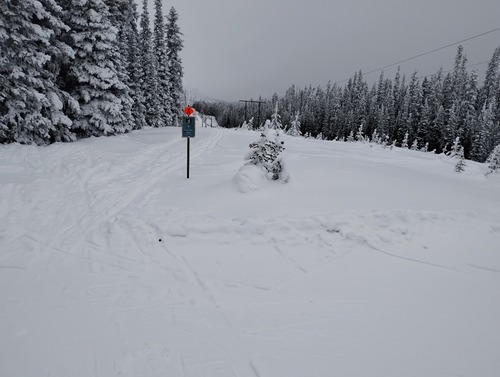 rime covered trees at Elk Pass ...just like the previous week