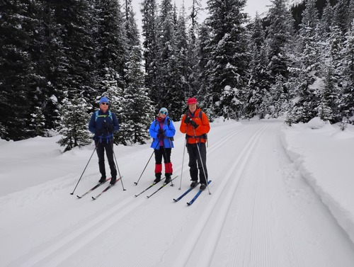 excellent cold snow and tracks on Tyrwhitt Philip, Agnieszka, John
