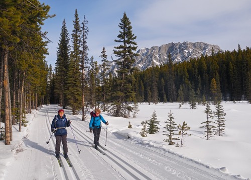 Great conditions on Wooley and then Amos on the way south, after some fast but not icy hills on freshly trackset Meadow.