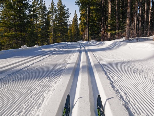 Excellent skiing on Wheeler between Boulton and Elkwood. Follow the grooming!
