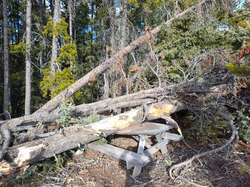 Timing is everything 