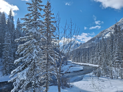 Spray River at Upper Spray Bridge