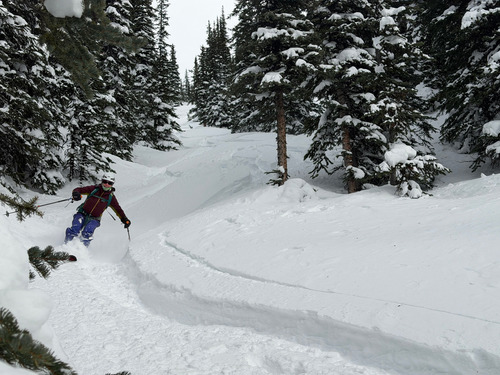 Jenny in the glades . Knee deep snow