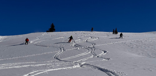 Group ski in the alpine . Some wind affect
