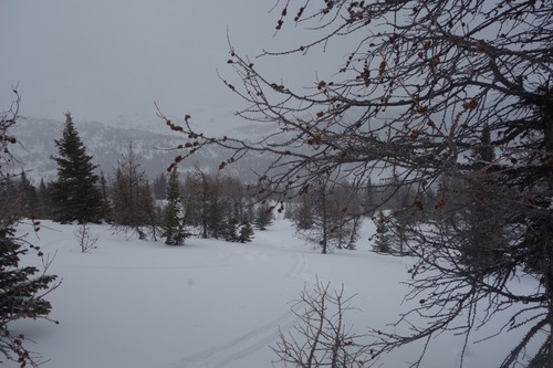 Looking down Twin Cairns burn slope during one of cloudy periods