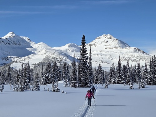 Touring to the Glades