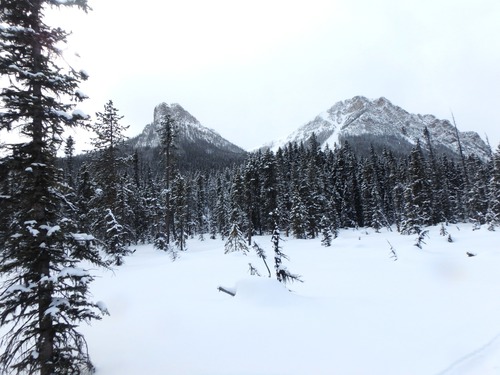 Saddle Peak & end of Mt. Fairview