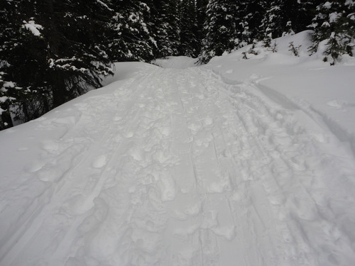 Red Earth Creek "Ski" Trail ruined by many boot holes mostly from guests of Shadow Lake Lodge 