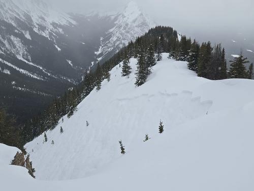 King Creek Ridge avalanche, March 2026