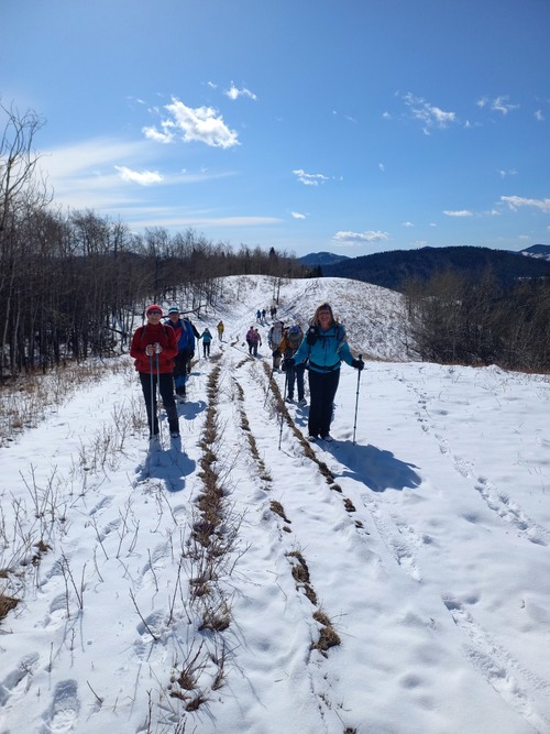 Happy hiking on Carry ridge.