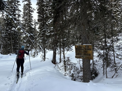 Shortcut down to the Creek