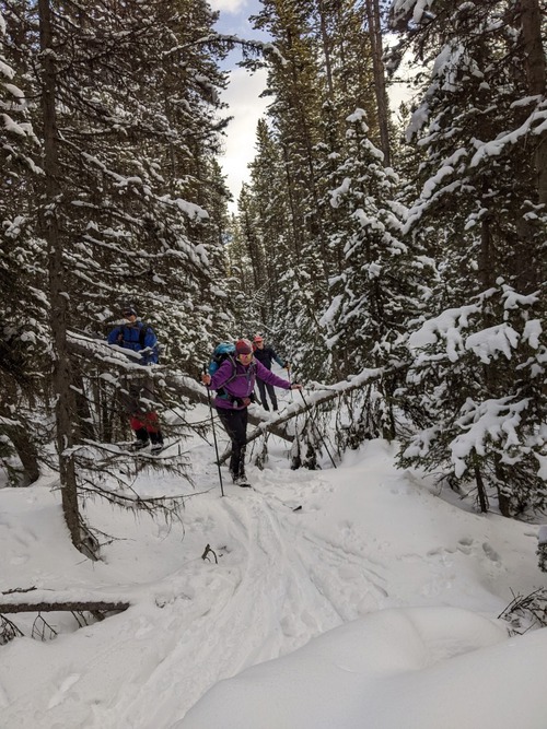 A little Limbo work on the trail