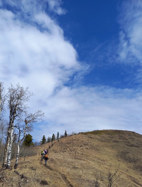 The sun came out as we neared the top