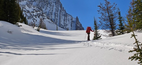 Arriving at tree line in the French Creek valley.