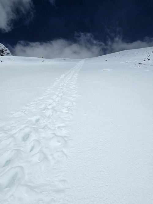 Our route up the Sir Douglas - Robertson Col.