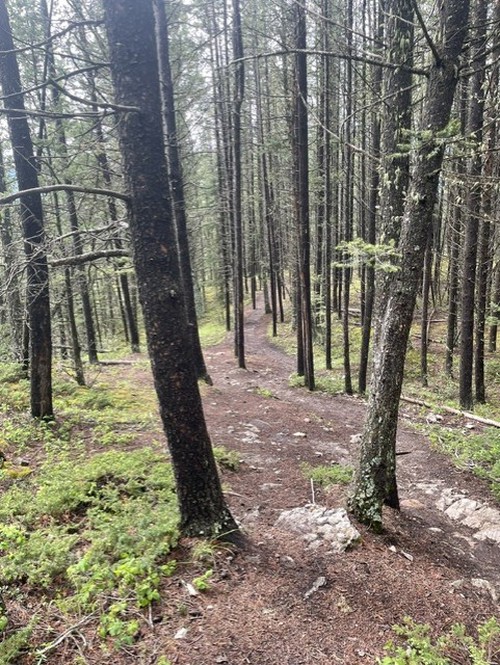 At lower elevations, the trail was dry