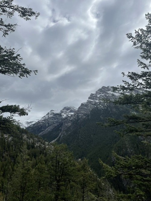 From openings in the trees, you can see the view up Cougar Creek