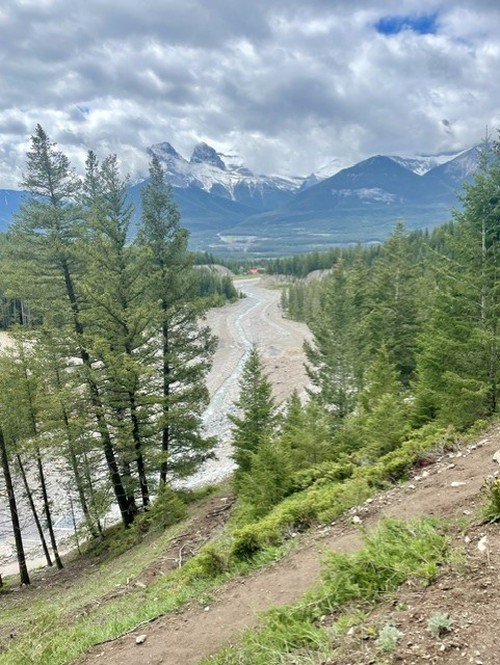The start of the trail to Lady Mac now goes along Cougar Creek 