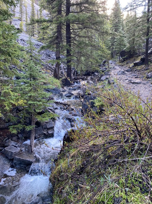 I don't remember when I last saw an actual stream along the Baldy Pass trail!