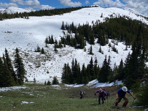 This slope is much steeper than it looks - fortunately the snow had melted 