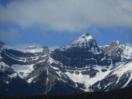 Hwy 40