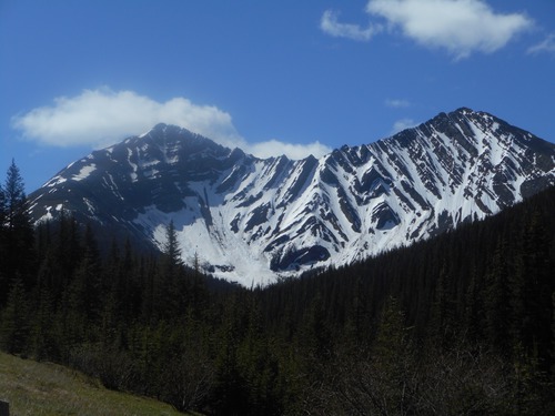 Hwy 40