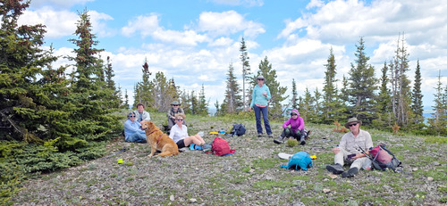 The team under the watchful eye of Piper the dog.
