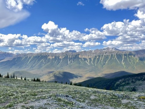 The imposing limestone cliffs of Nihahi Ridge stretch for 7 km to the west 