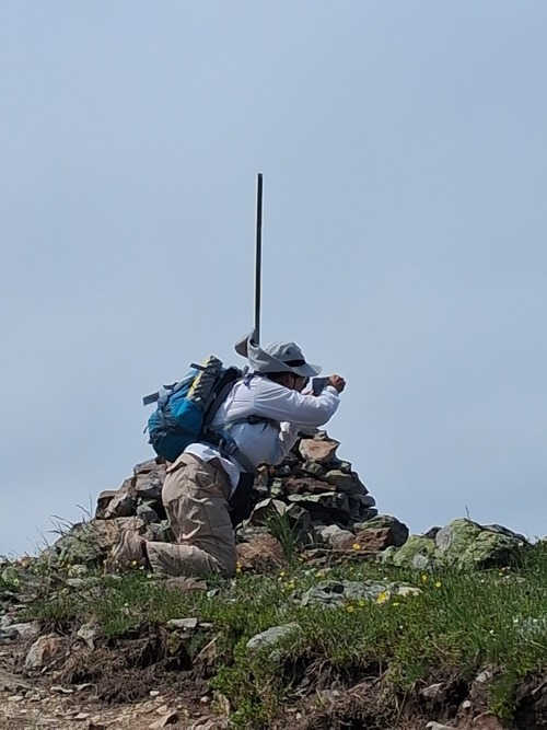 Barb taking cover from the strong wind gusts.
