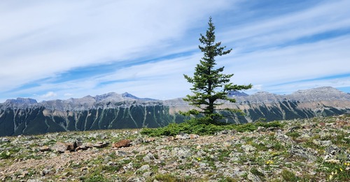 View peaking over ridge from shelter of the cairn.