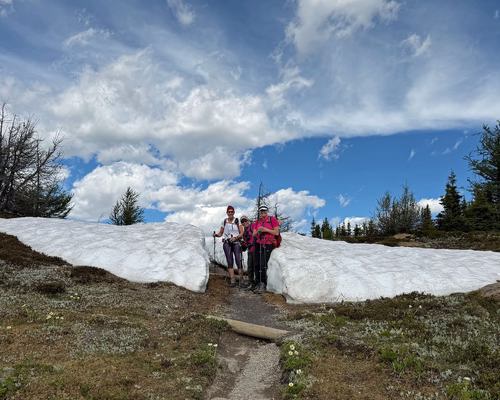 Biggest bit of snow that we encountered (path cut by Parks staff to avoid folk walking around)