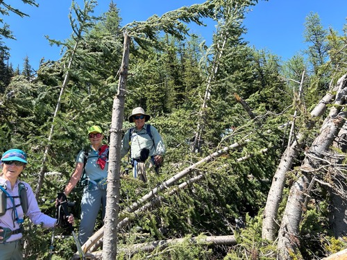 Trail finding, advancing our skills, testing navigation. 
