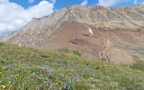 The hills are alive...