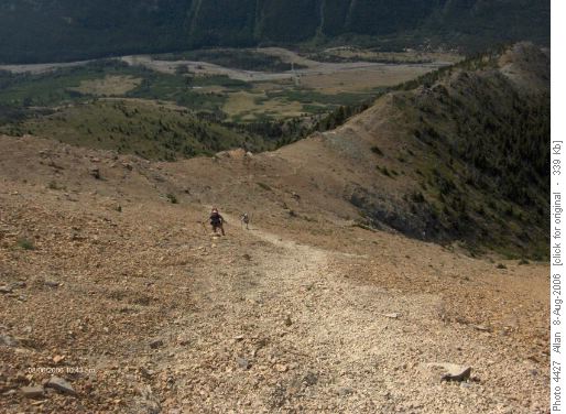 Mt Galwey scree approach