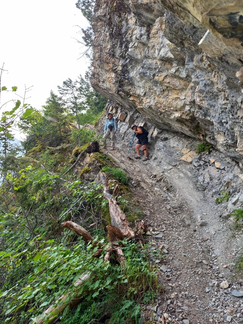 Steep, tricky footing for short part of trail.