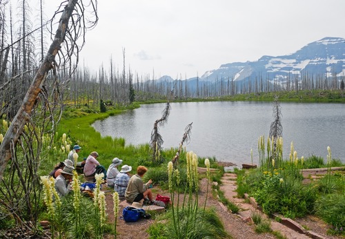 Elevenses at Summit Lake.