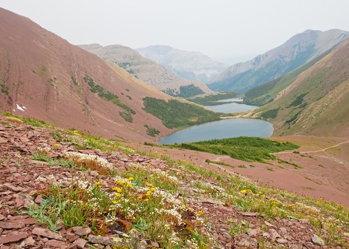Flowers and lakes from above our lunch spot on the lower ridge leading to Mount Carthew