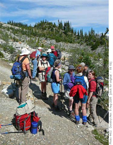 Yoho Lake trail junction