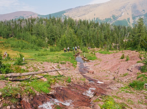 The stream between Upper and Middle Rowe Lakes.