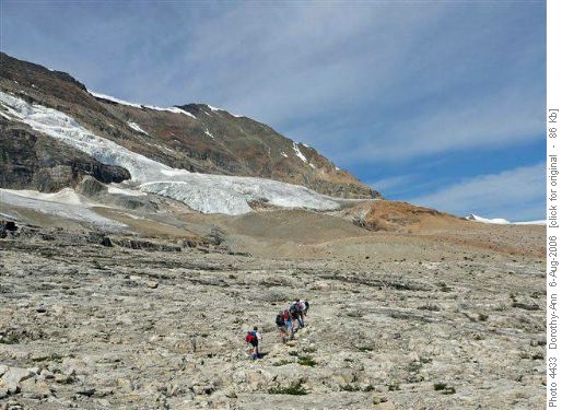 Iceline trail trek